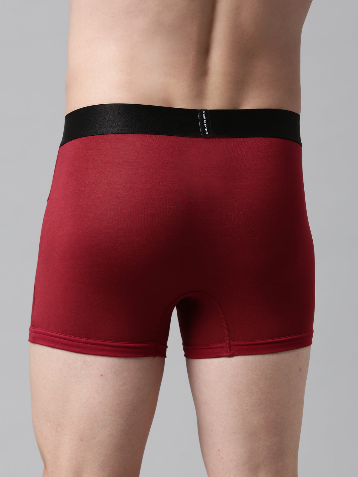 Faso Men's Premium Micro Modal Trunk