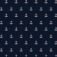 FS 3007 Navy