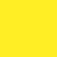 Neon Yellow FA 2013