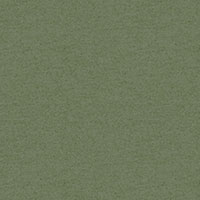 Pale Green marl FS 3001