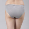 FW 202 Steel greyDoeskin- low waist inner elastic bikini